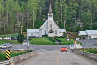 Webster election draws record interest