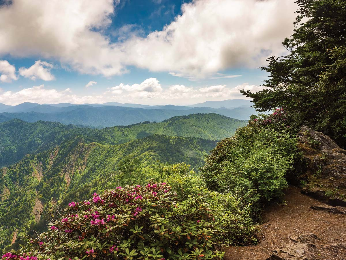 Hands off our parks, our foreign guests and our narrative