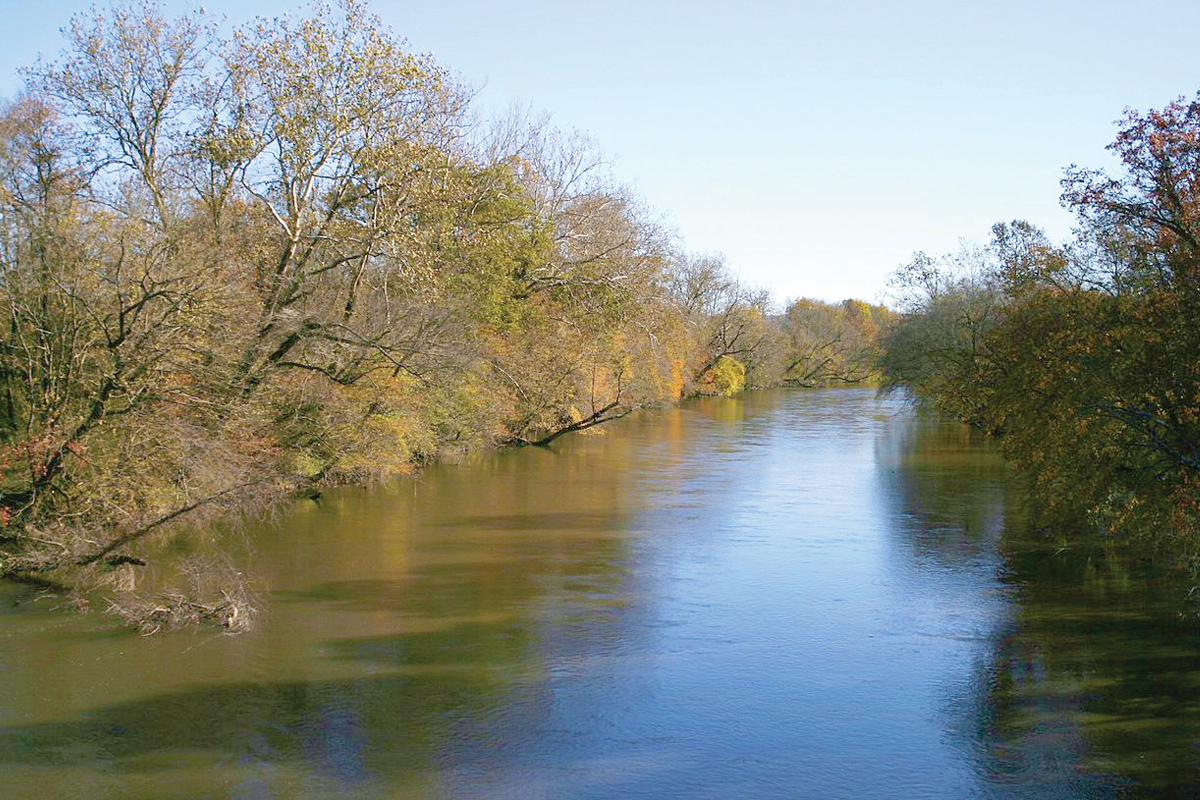 Weigh in on NC river quality