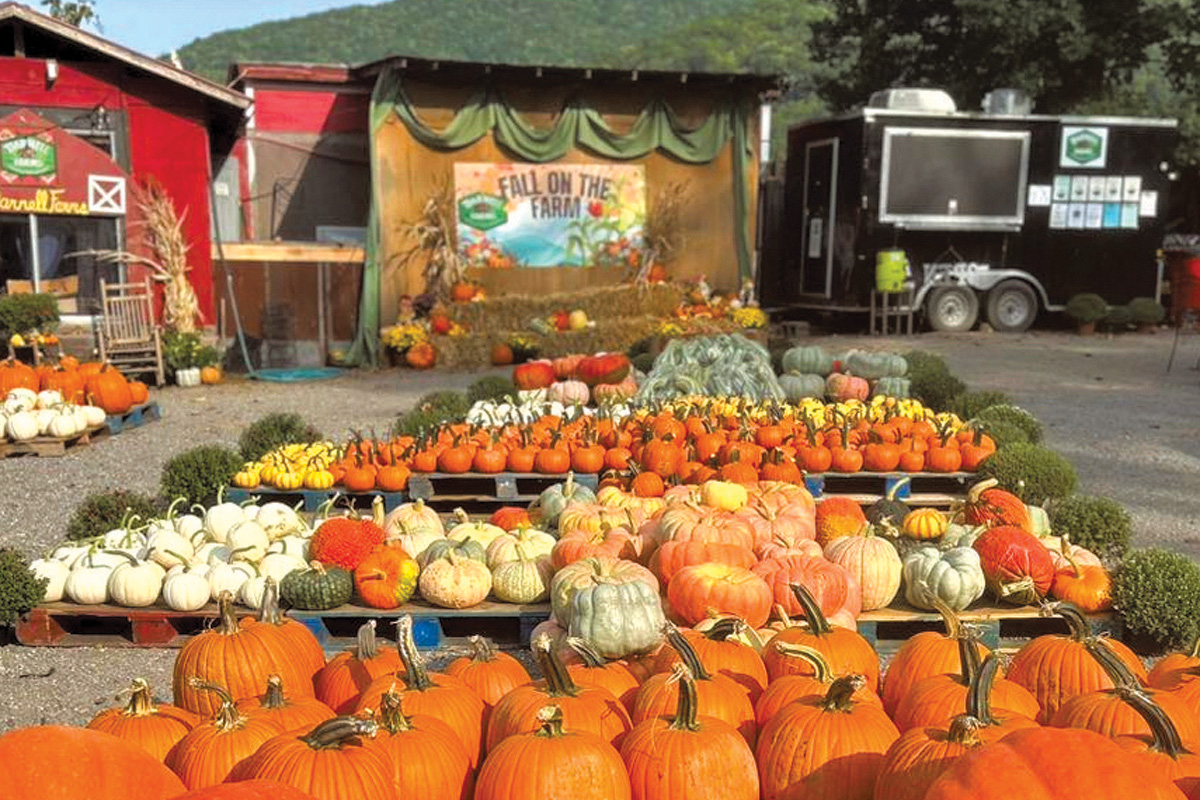 Darnell Farms is a popular destination in WNC. File photo 