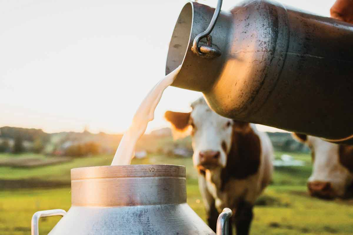 Sponsored: How do you make buttermilk