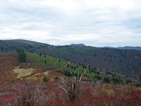 Crews search for three missing hikers at Black Balsam