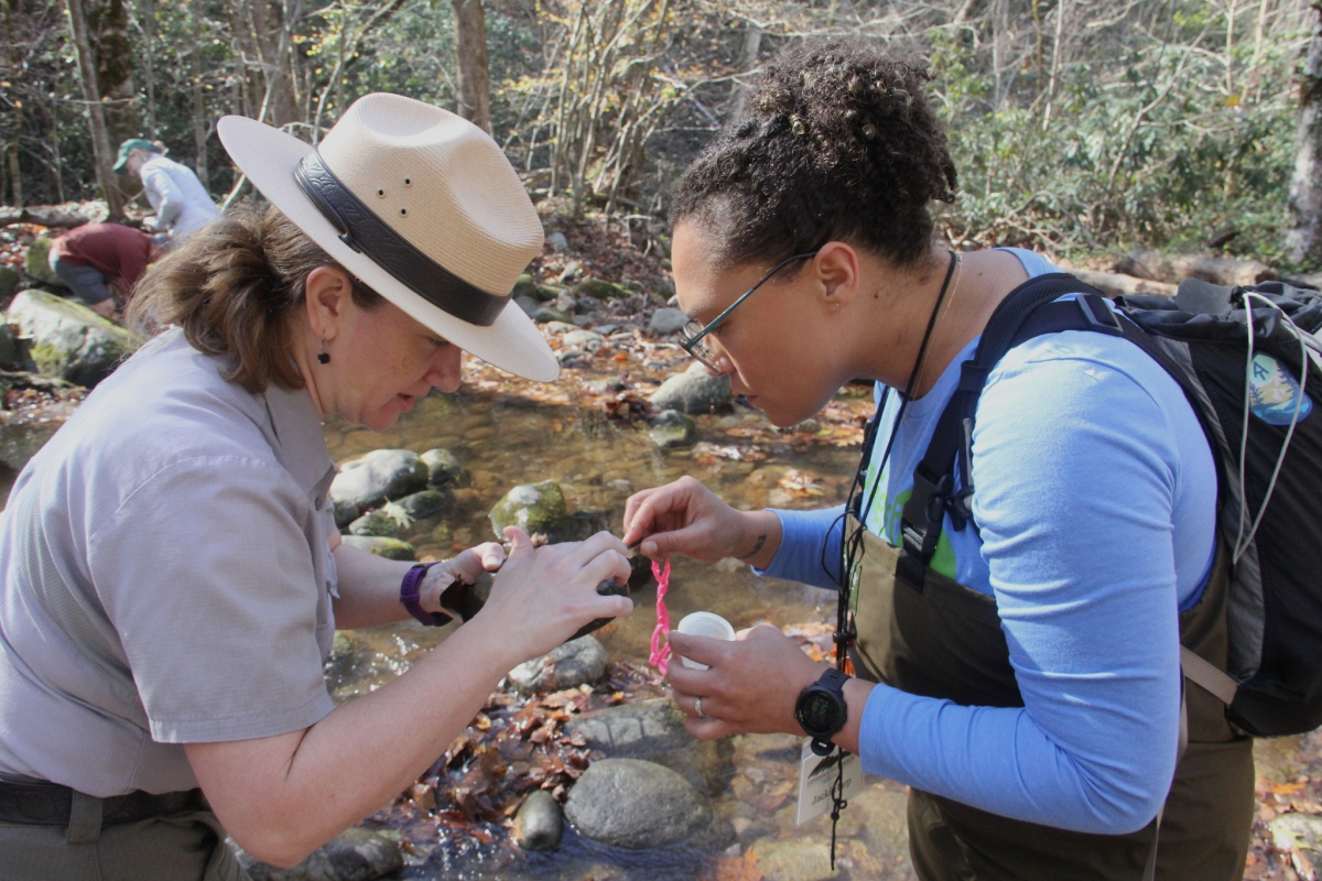 Smokies Life CEO Jacki Harp (right) and Smokies Supervisory Park Ranger Lisa Nagurny examine an aquatic creature found in a nearby stream during an Experience Your Smokies session this fall. Photo provided by Experience Your Smokies–Tennessee.