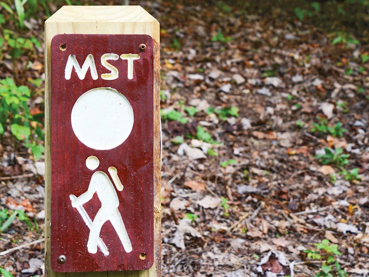 MST celebrates 44 years