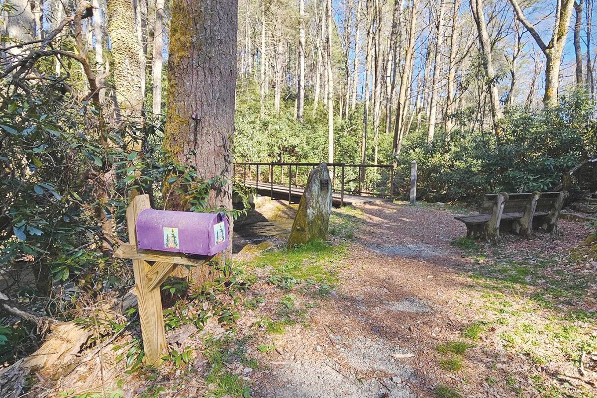 A purple mailbox waits on the Mill Creek Woods Trail. Donated photo 
