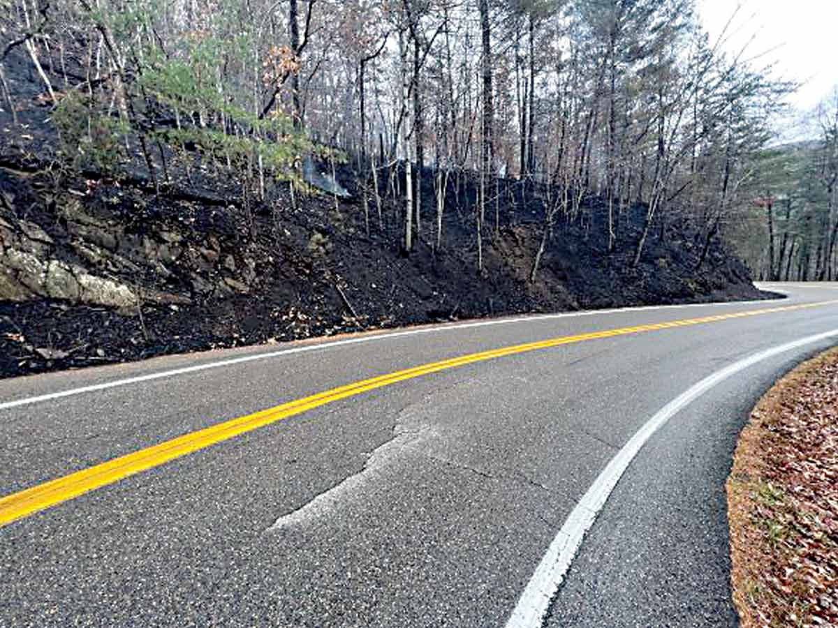 The forest abutting U.S. 129 is blackened following a wildfire started Nov. 6. NPS photo