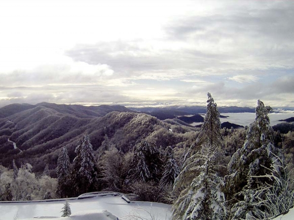 A webcam image shows a frosty view from Newfound Gap. NPS photo