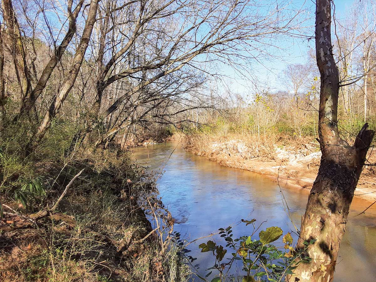 A half-mile section of the Jacob River flows through a recently conserved property in the Catawba River Basin. Foothills Conservancy photo