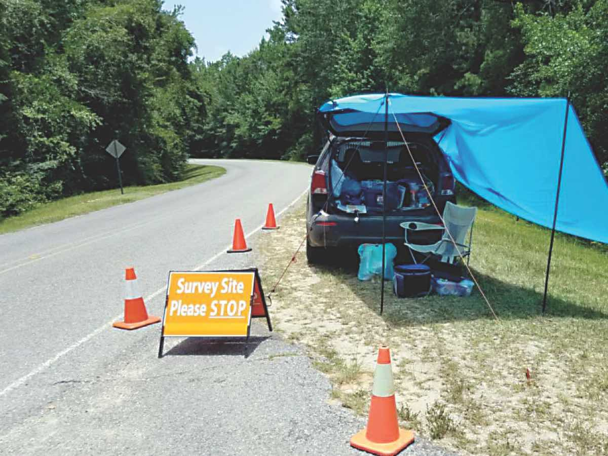 A survey site is set up along a U.S. Forest Service road. USDA photo