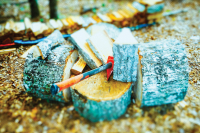 Up Moses Creek: ‘Hit them hard!’