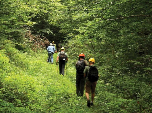 Partners of the Joyce Kilmer Slickrock Wilderness volunteers hike the Benton MacKaye Trail to do maintenance work in August. Donated photo 