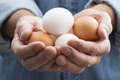 Partner content: Food Facts — On the Color of the Egg’s Shell