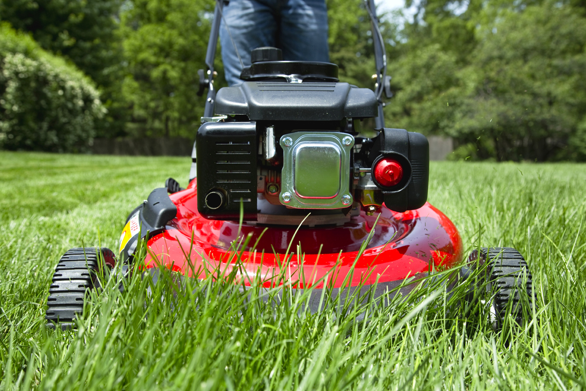 Franklin warns residents about grass clippings
