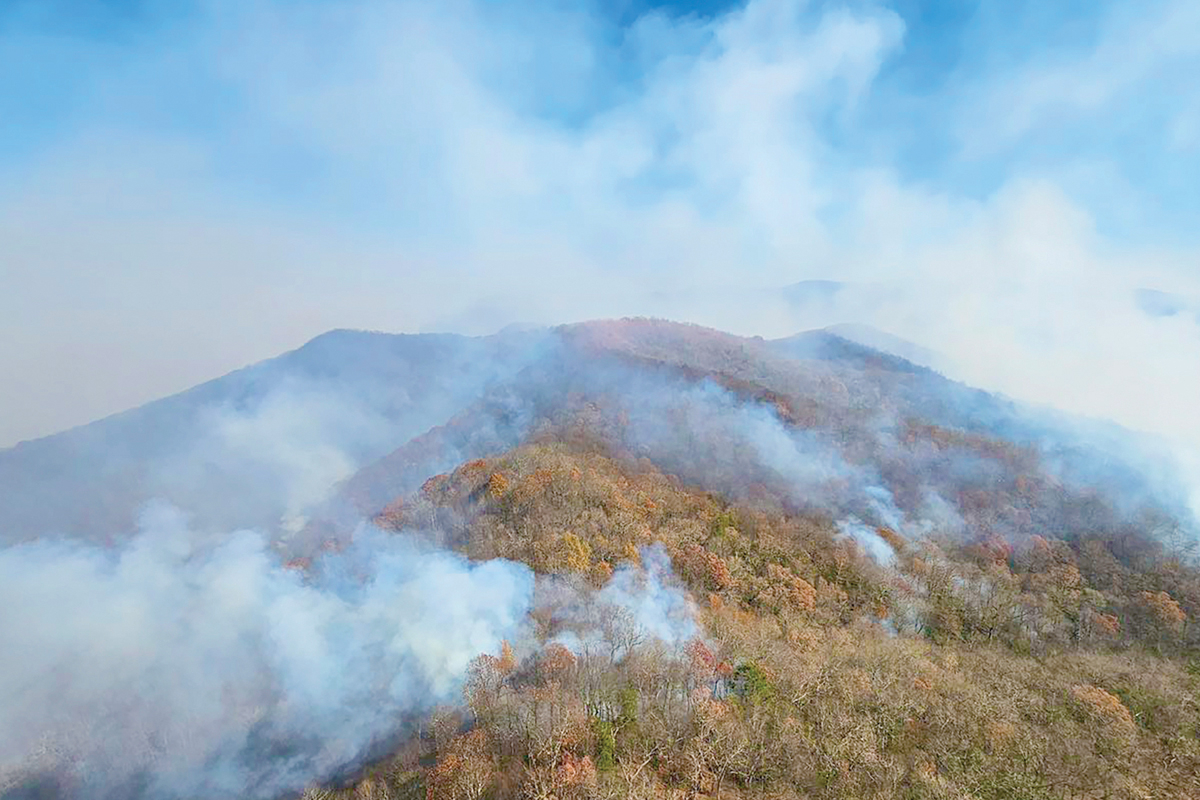 Smoke rises from the Collett Ridge Fire near Andrews. USFS photo