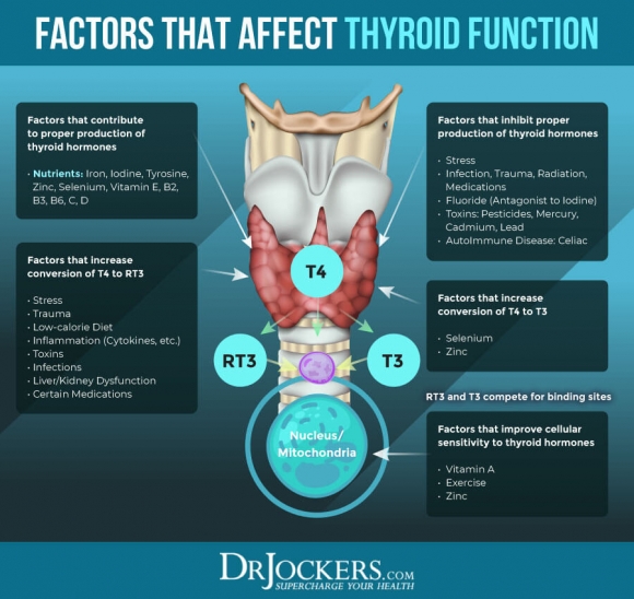 Foods to improve low thyroid function