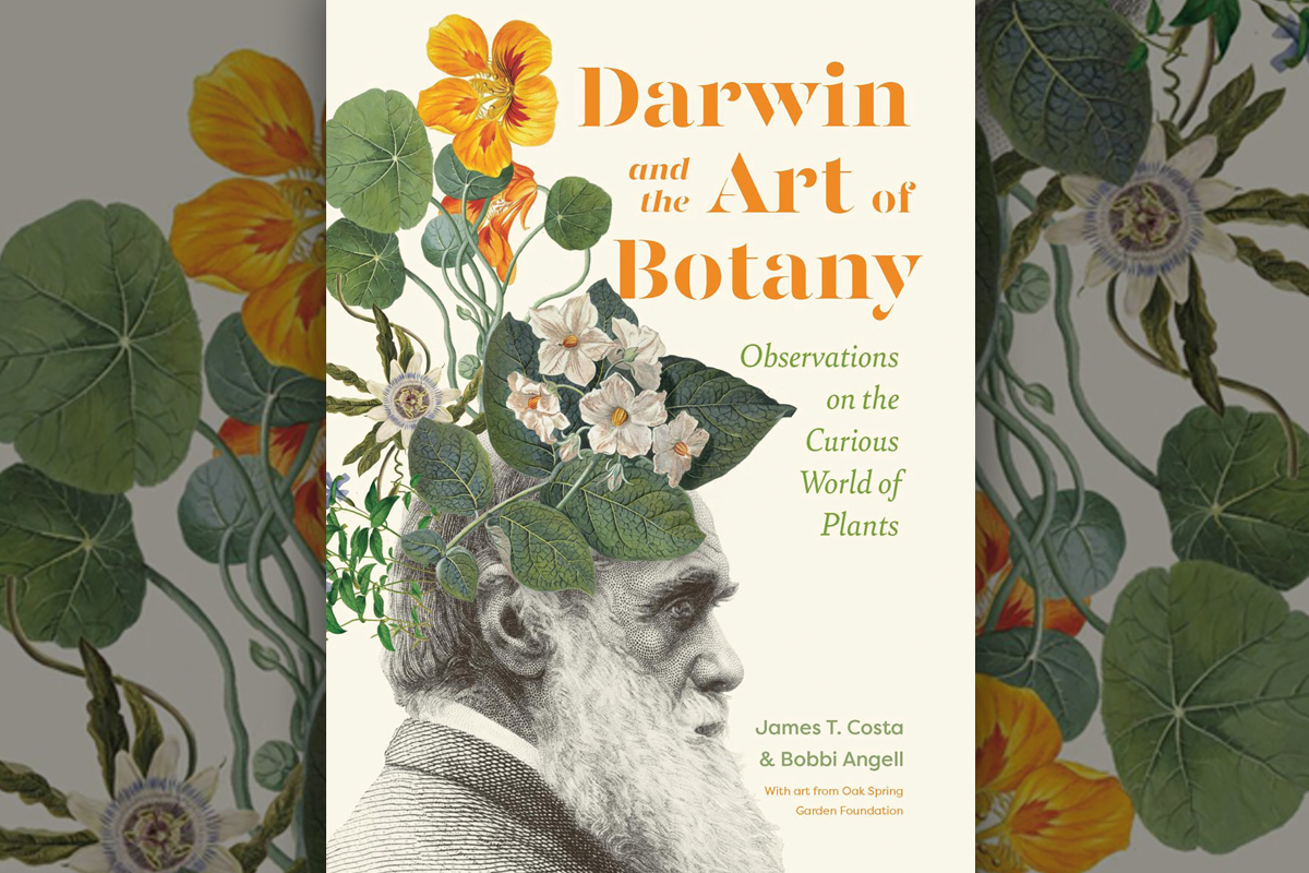 Where art and science meet: ‘Darwin and the Art of Botany’