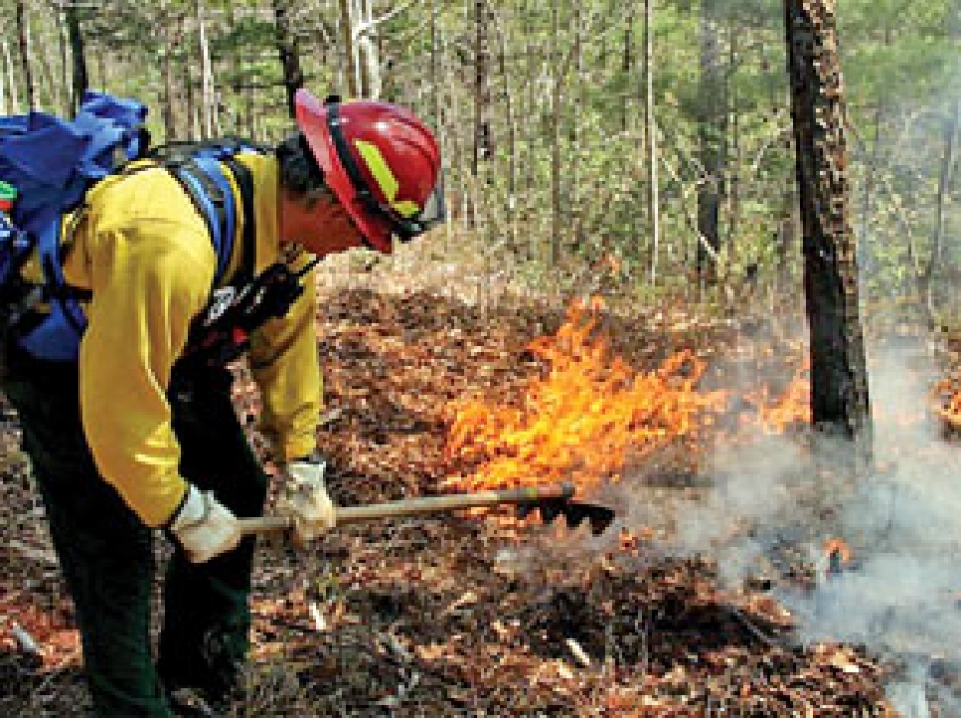 Pisgah plans prescribed burns