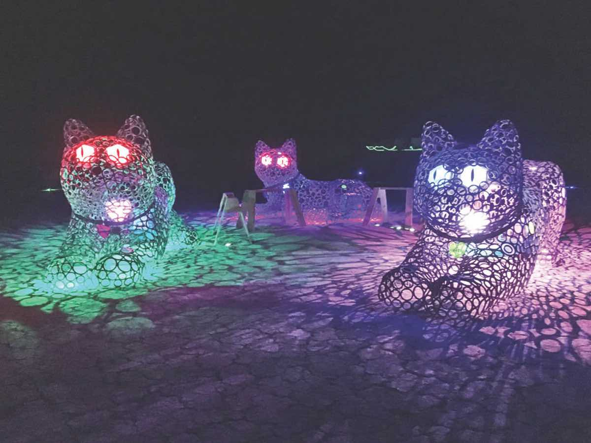 Purr Pods was made up of three large, steel house cats with LED lights glowing from the eyes and hearts of felines. Paige Tashner photo