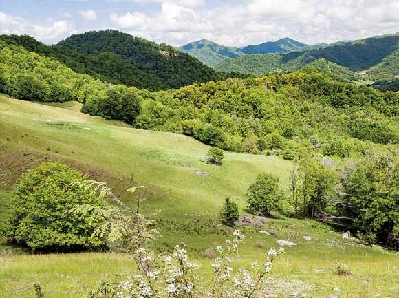 The property features many a dramatic view. SAHC photo