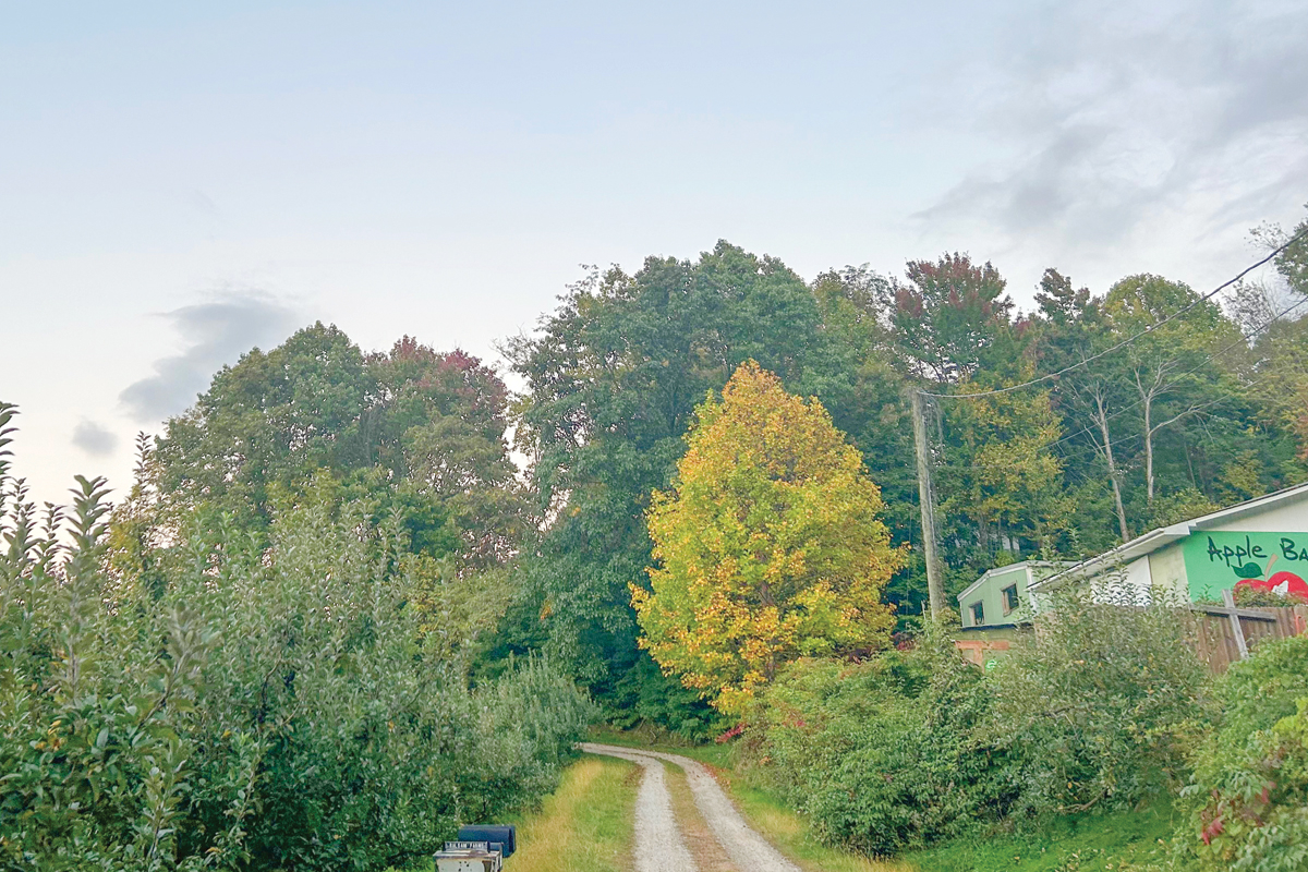 The barracks are situated at the end of a winding gravel road.