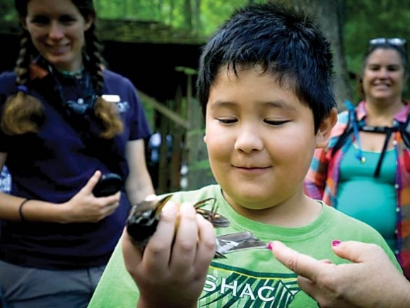 New Smokies science program to target schools