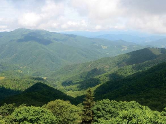 Above it all: Fryingpan hike offers vast views, diverse plant life