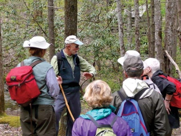 Catalyst for adventure: Field school instructors reflect on three decades in the Smokies