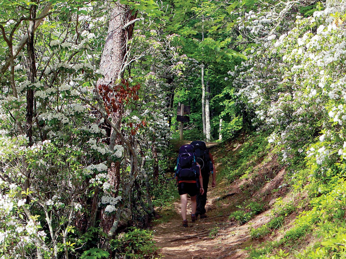 Increasingly, the Great Smoky Mountains National Park has become a year-round destination. NPS photo