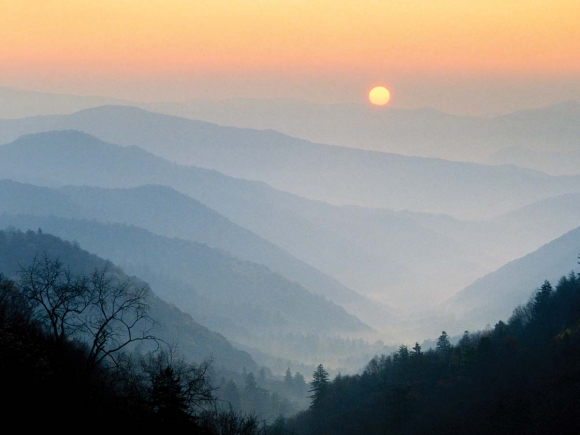 The mountains of Western North Carolina contain some of the most biodiverse ecosystems on the planet. Bill Lea photo