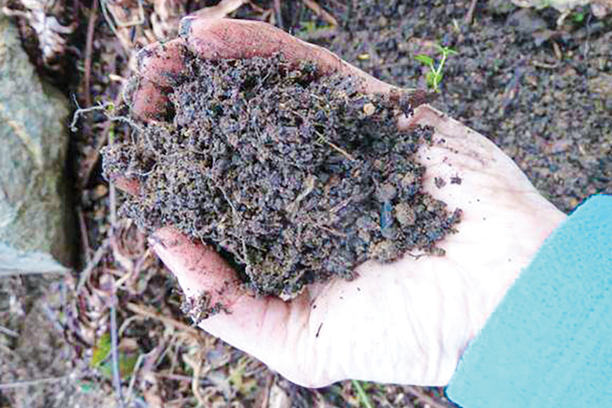 Haywood Extension composting class