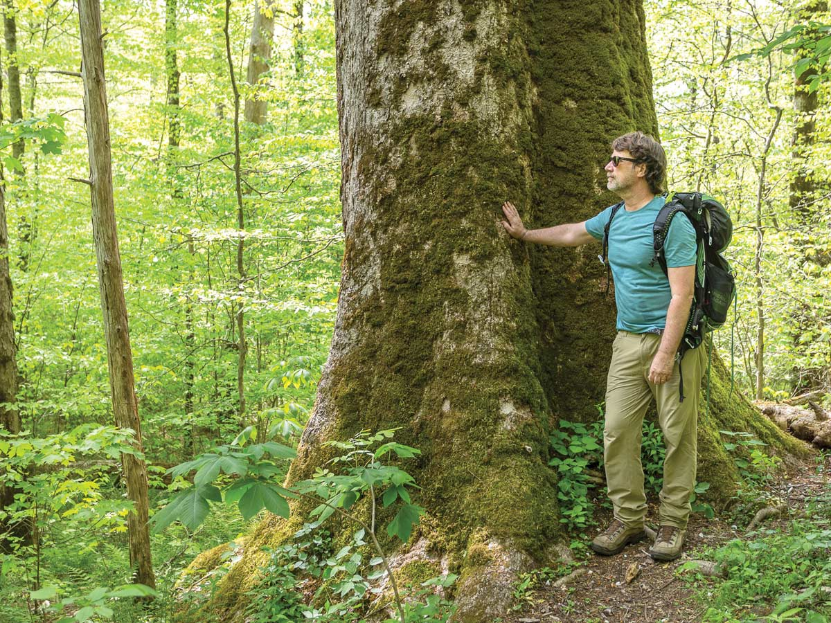 Steve Kemp worked as interpretive products and services director for Great Smoky Mountains Association for 30 years and began to publish the biannual journal Smokies Life in 2007.