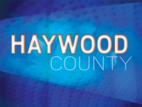 Needs survey available for  Haywood business owners