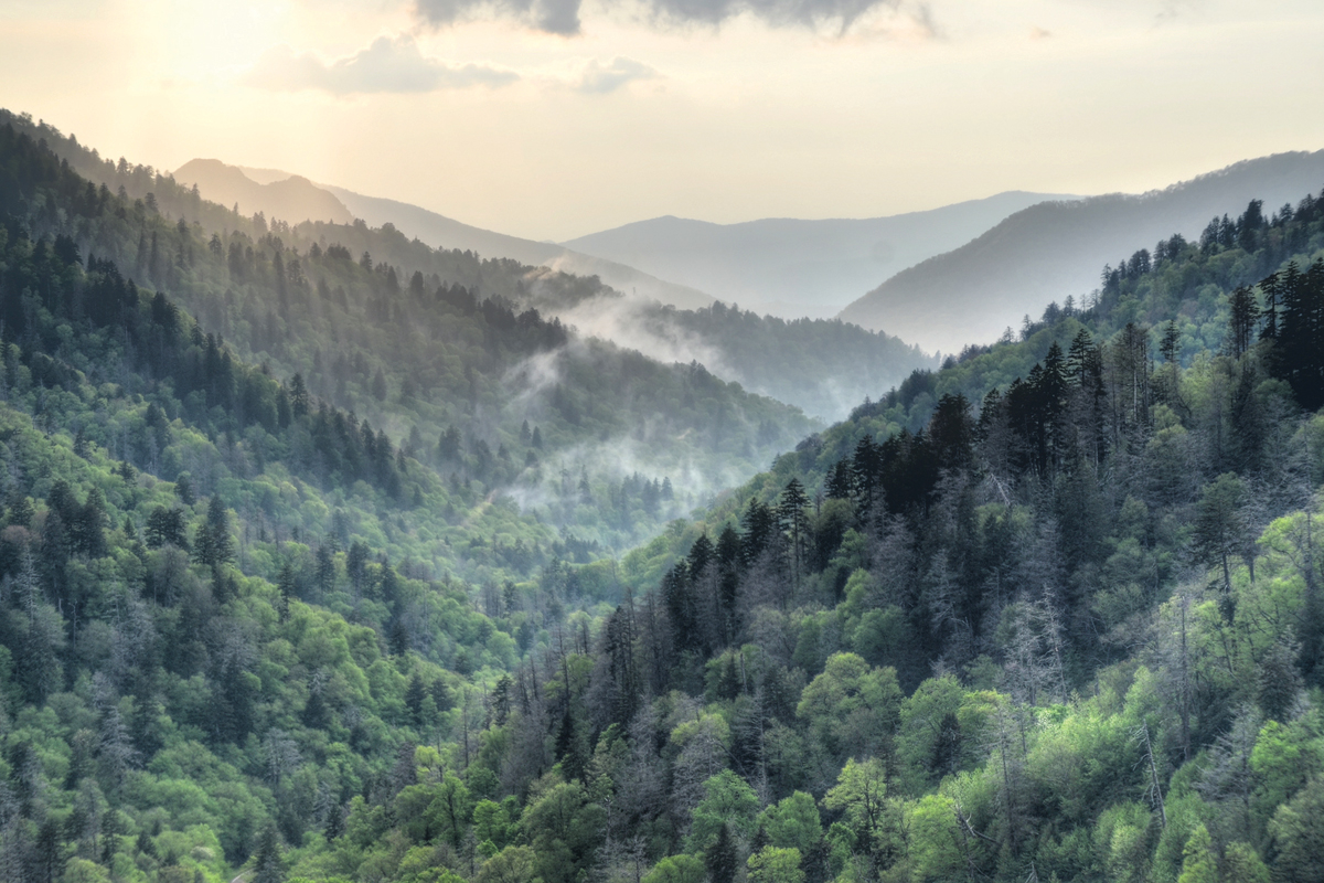 Hurricane Helene recovery in Great Smoky Mountains National Park