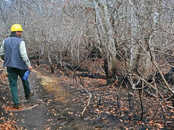 FAQ: The effects of WNC’s 2016 fire season