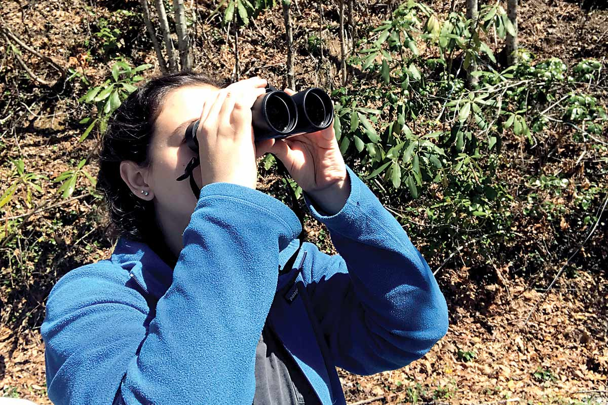 Join wildflower, bird walks at Lake Junaluska