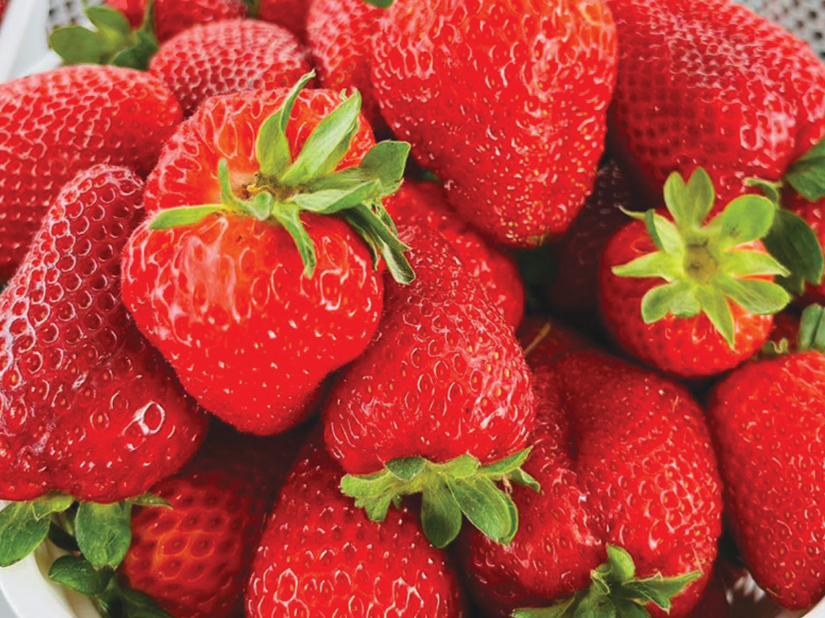 The Strawberry Jam festival returns May 17-18. File photo