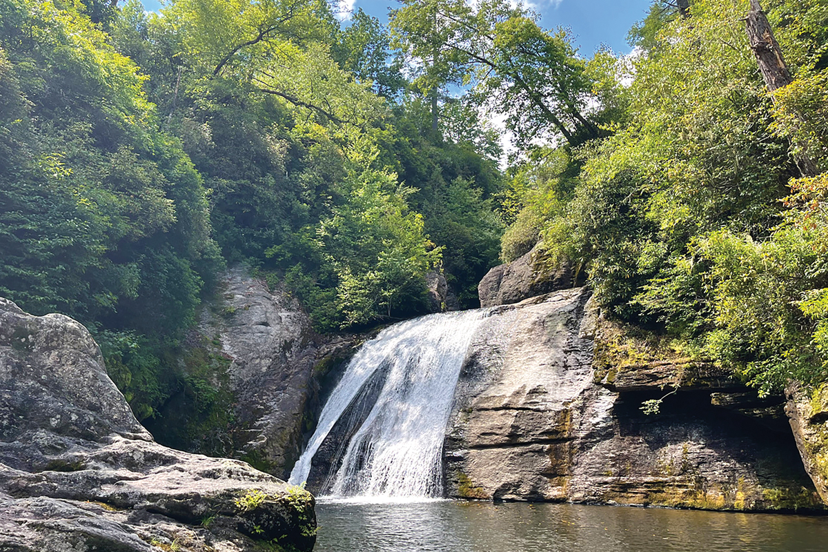 The Whitewater River, which borders the area proposed for logging, has been recommended for scenic designation under the National Wild and Scenic Rivers Act. Will Harlan/Center for Biological Diversity photo