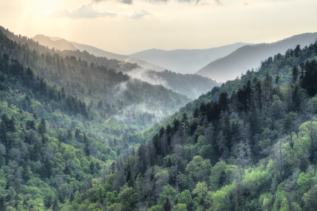 Smokies visitation increases in 2023, but N.C. side lags