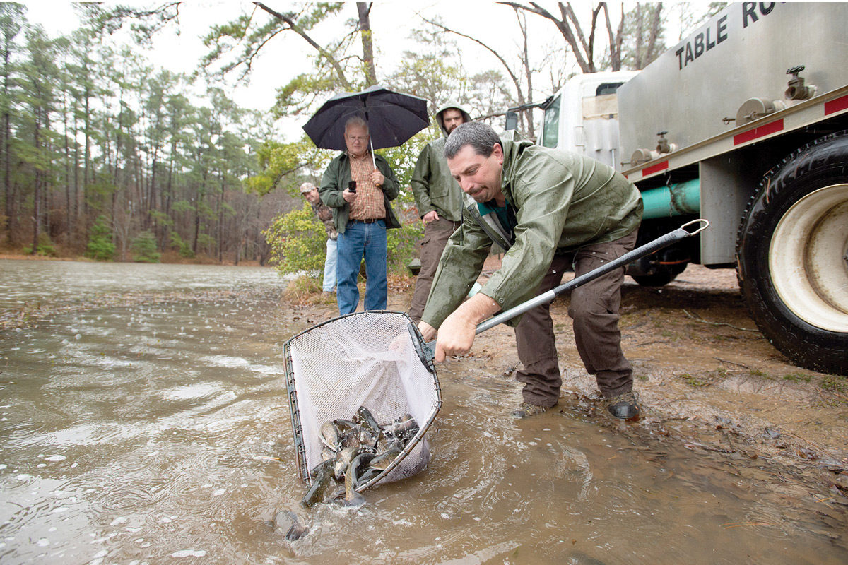 An N.C. Wildlife Resources Commission official releases trout into a river. 