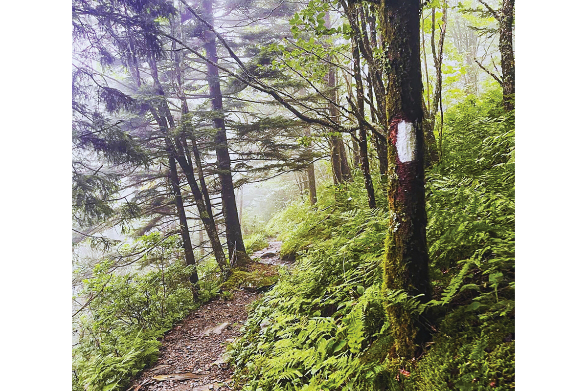 A section of the Appalachian Trail beckons hikers. 