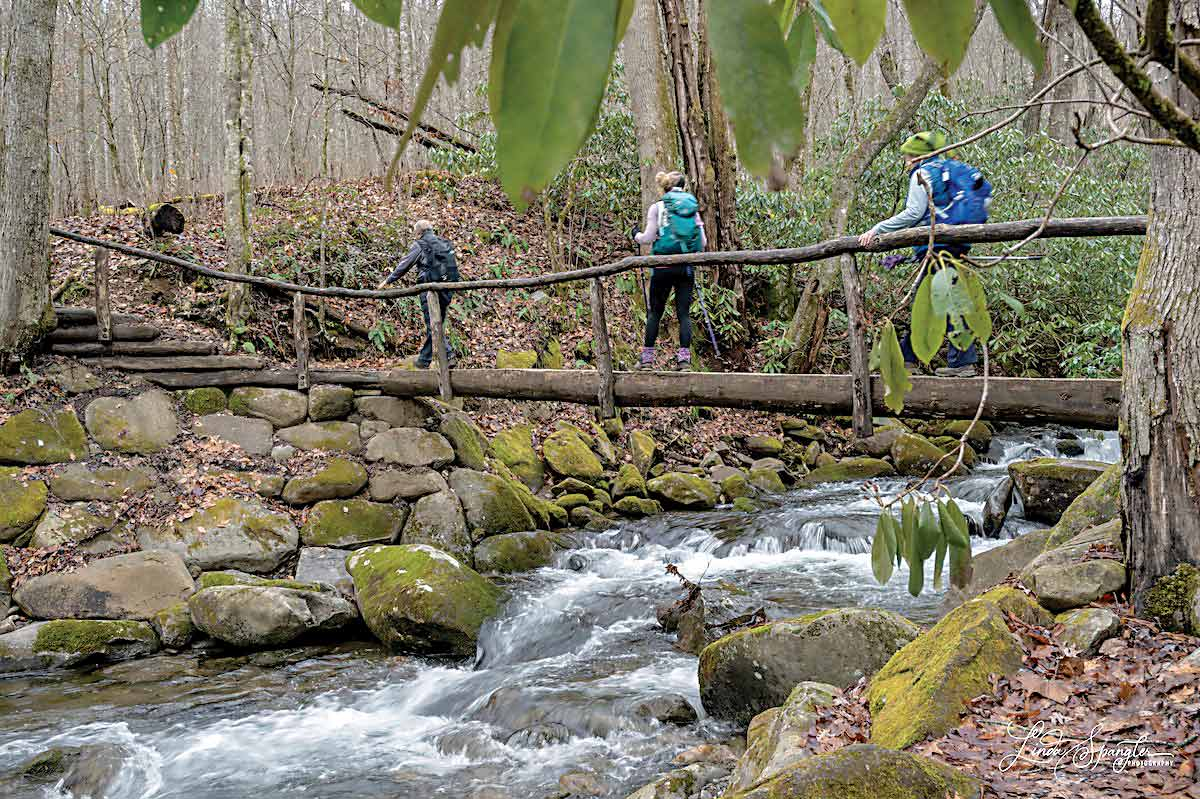 The group crosses Kephart Bridge during a previous Classic Hikes outing. Friends of the Smokies photo 