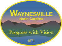 Waynesville to remove two advisory board members appointed improperly