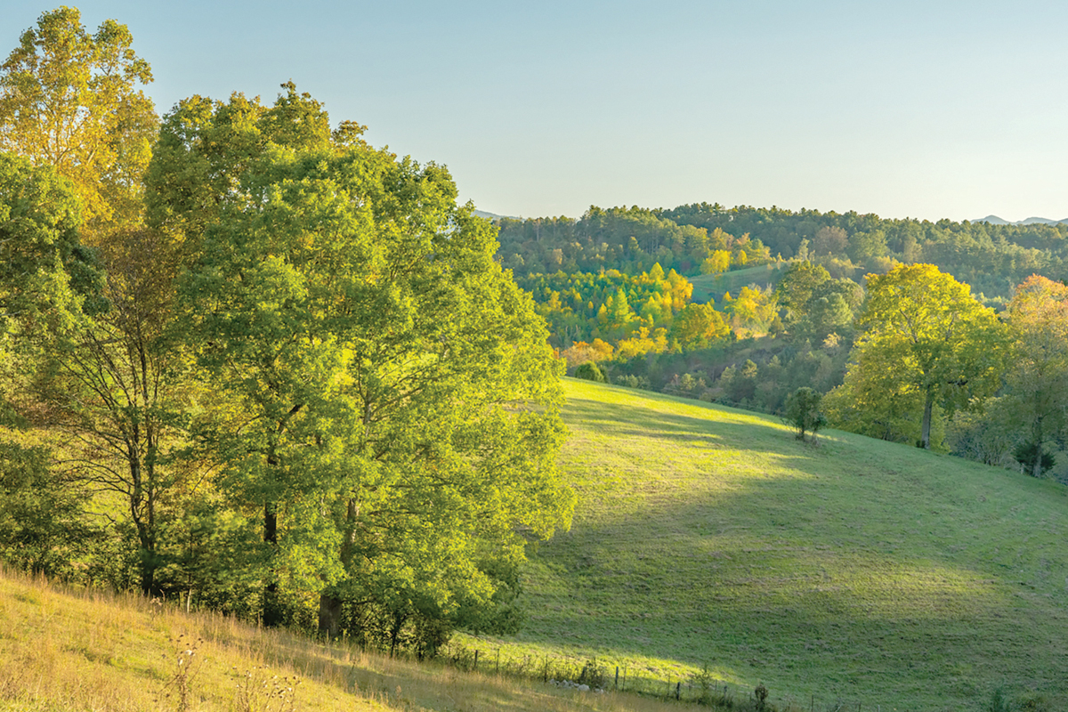 The former farmland contains rolling hills with sweeping mountain views.  SAHC photo