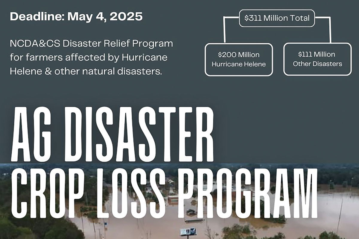 The N.C. Department of Agriculture and Consumer Services is administering the statewide program as part of the more than $524 million disaster package approved by the N.C. General Assembly, with nearly $311 million designated for relief for farmers. Donated graphic