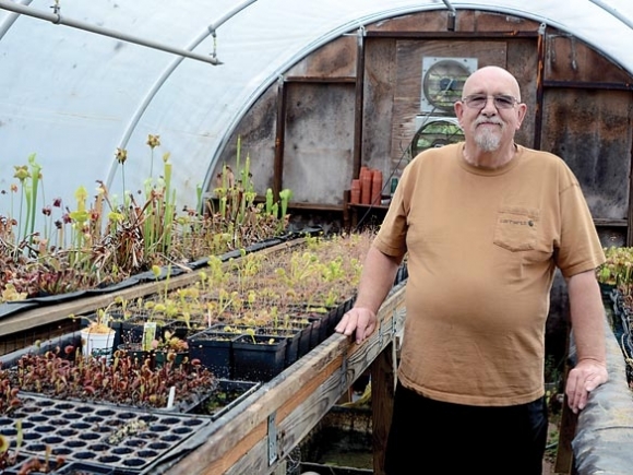 Sylva’s carnivorous plant man: After nearly 30 years and thousands of plants, carnivorous plants still fascinate