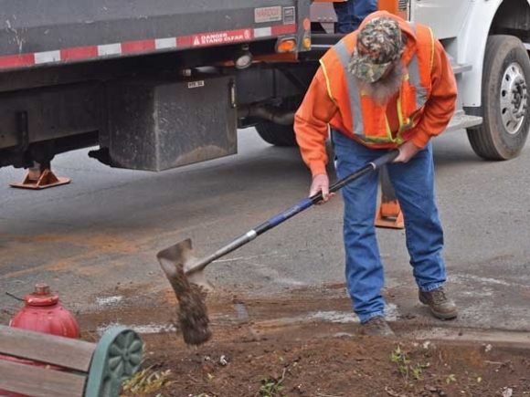 Street trees replaced in Sylva