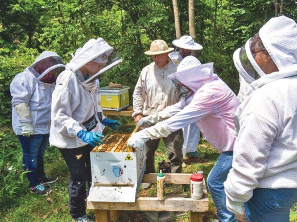 Youth learn life lessons from bees