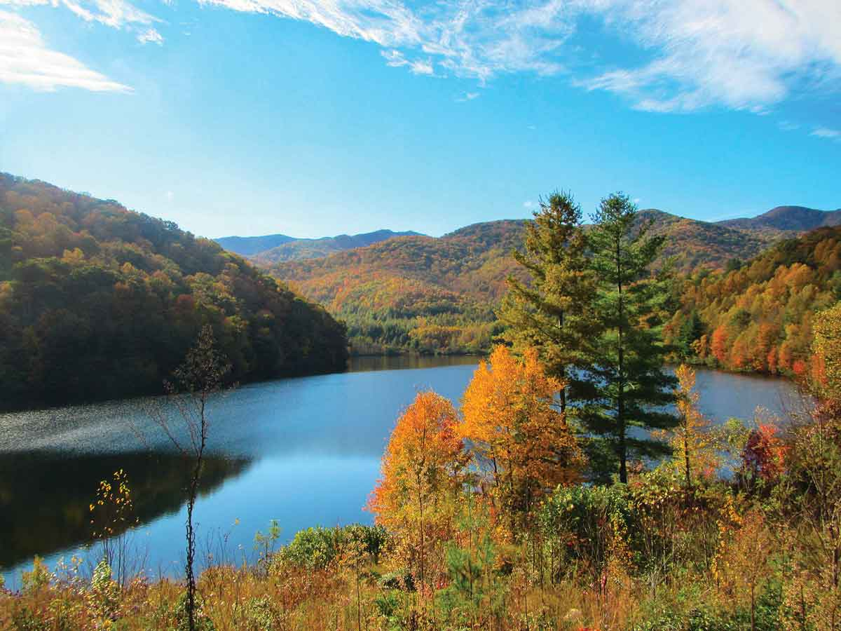Tour the Waynesville Watershed