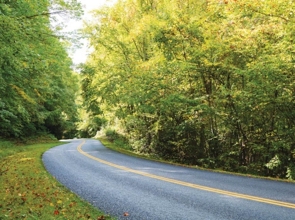 The Blue Ridge Parkway undulates where the Rattlesnake Mountain Tunnel bypass trail emerges. Holly Kays photo