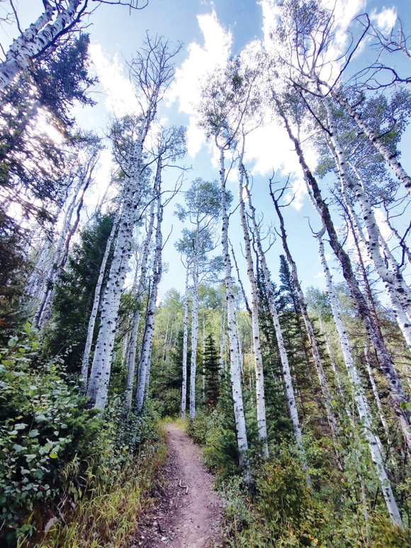 Holly’s Trail is in Park City, Utah. Garret K. Woodward photo